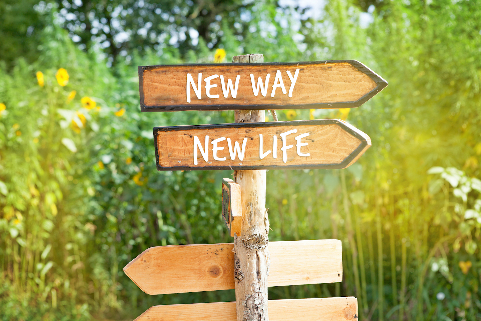 new way, new life arrow sign | Blueprint career development