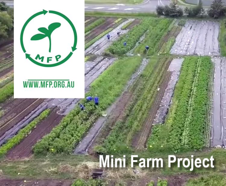 Mini Farm Project