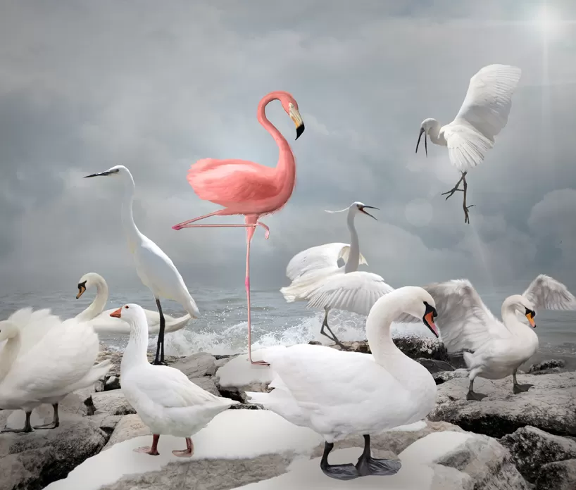 Stand out from the crowd