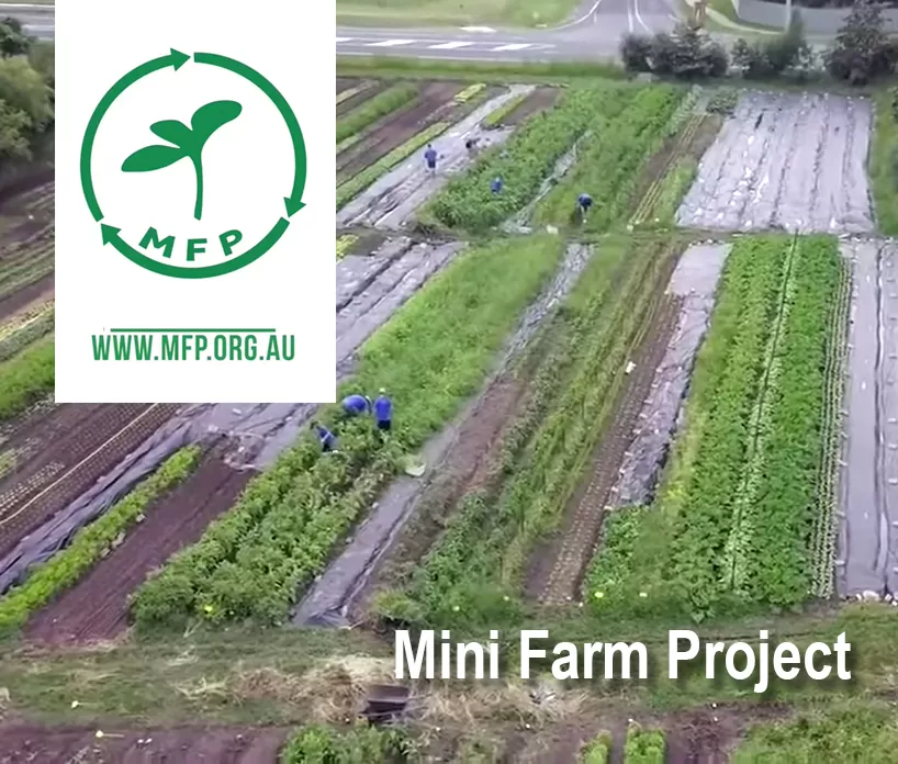 Mini Farm Project: Gift of Education and Nourishment - TAE40122
