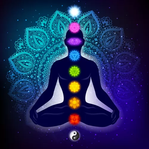Emotional & somatic awareness
